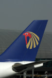 EGYPT AIR AIRBUS A330 200 DXB RF IMG_1045.jpg