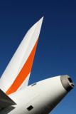 SKYTRADERS AIRBUS A319LR HBA RF IMG_0046.jpg
