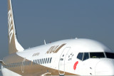ANA ALL NIPPON BOEING 737 700 NGO RF IMG_5460.jpg