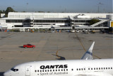 QANTAS BOEING 737 800 PER RF IMG_5822.jpg