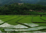 North of Macara