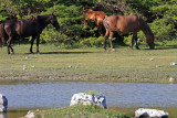 Grand Turk Residents