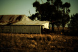 The Shearing Shed