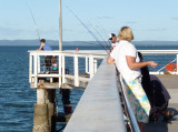 QLD fishing off the pier