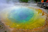 Morning Glory Pool - Upper Basin Area - Yellowstone