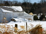 Sills Mill Barn