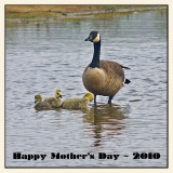 Happy Mothers Day