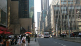 pic041808 1.JPG