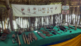 DSC00737mues.JPG