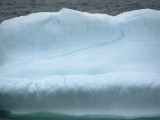 Iceberg 2008 102<br>Cuckolds Cove