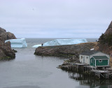 Iceberg 2008 067<br>Quidi Vidi Village