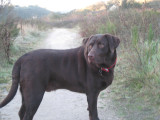 Luke Hiking