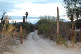 Open Gate Dirt Road