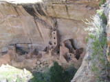 Kiva Tower Mesa Verde Natl Park
