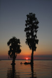 Two Lovers at Sunset