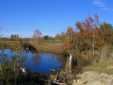 Abbey Pond