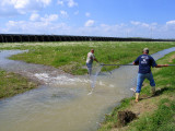 Fishing for Bait - River Rise 2008