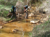 This is One of About 50 Crossings in Grand Gulch...How Would You Like to Filter This Water?
