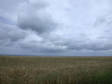 Ground and Sky