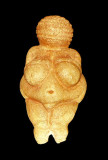 Venus-Wikipedia
