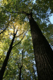 Shenandoah National Park