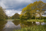 Reflections in the Mote