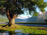 Lake Rotoiti