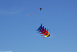 Austin Kite Fest - 5526.jpg