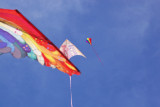 Austin Kite Fest - 5539.jpg