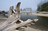 Ruby Beach