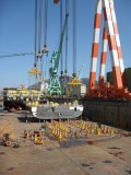 SDC11142.JPG