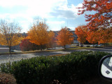                BEAUTIFUL AUTUMN AT LAST
