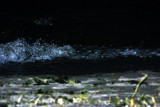 Three Strong Waves