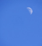 Mid-day Minimal Moon  lV<br><b><i>10th Place</i></b>