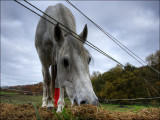 <b>10th (tie)</b><br>Feed Me<br>by Franky2005