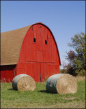 <b>1st Place Winner</b><br>The Face of a Barn