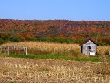 Corn Harvest is Over