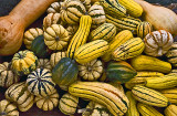 <b>8th (tie)</b><br>Squashes<br> by inframan