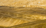 <b>5th (tie)</b><br>Fields of Gold<br>by parallax