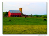 The Simple Life<br>by Kathleen Palmer
