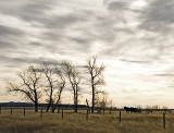 Montana Autumn<br>by inframan