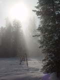 Yellowstone Winter Light<br>by Ar The Author