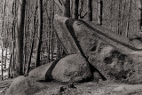 In the woods III<br>by Jean-Gaspard Deburau