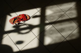 (6th/Tie) Sandal in the window<br>by Schumacher