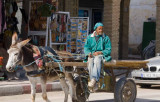 tunisie, el jerid,tozeur,oasis_dsc3085.jpg