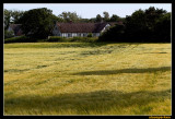farm