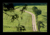 way