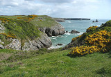 Pembrokeshire, West Wales.