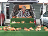 Toy stall.jpg