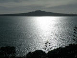 Rangitoto and Channel.jpg